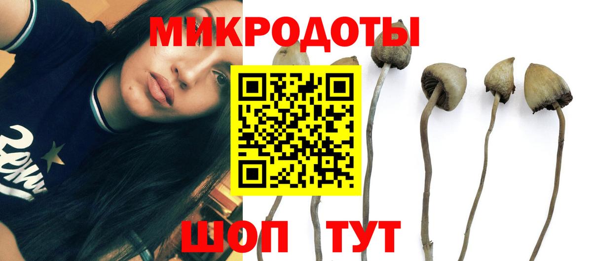 Псилоцибиновые грибы прущие грибы Строитель